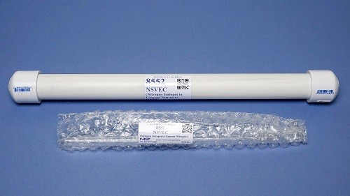 SRM 8552 NSVEC （氣態氮中的氮同位素）標準品